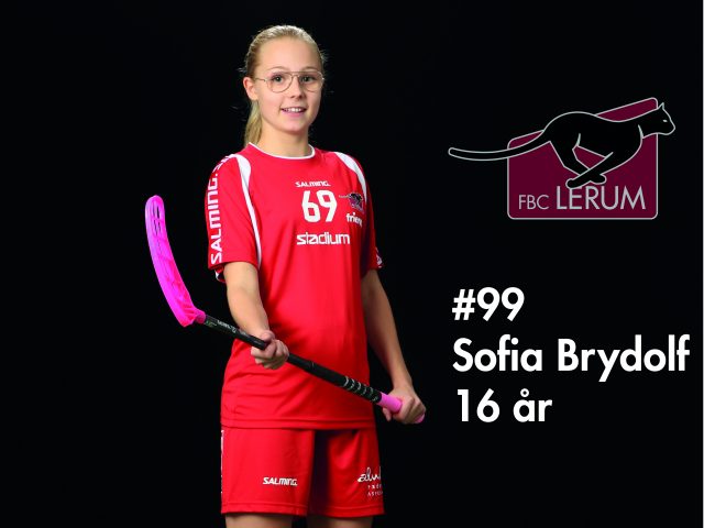 brydolf presentation