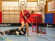 Foto: Daniel Lundgren