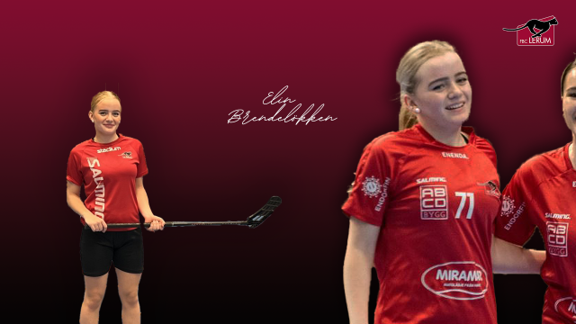 Löpsedel_Nyförvärv_ElinB